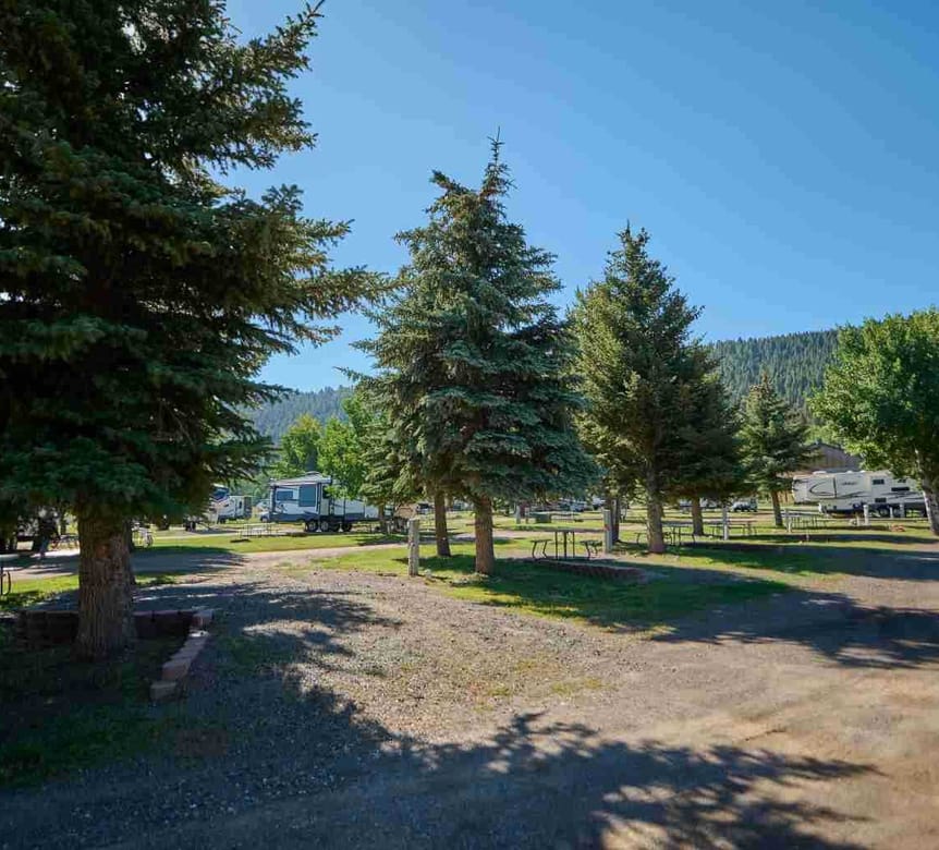 30/50 Amp Economy RV Site